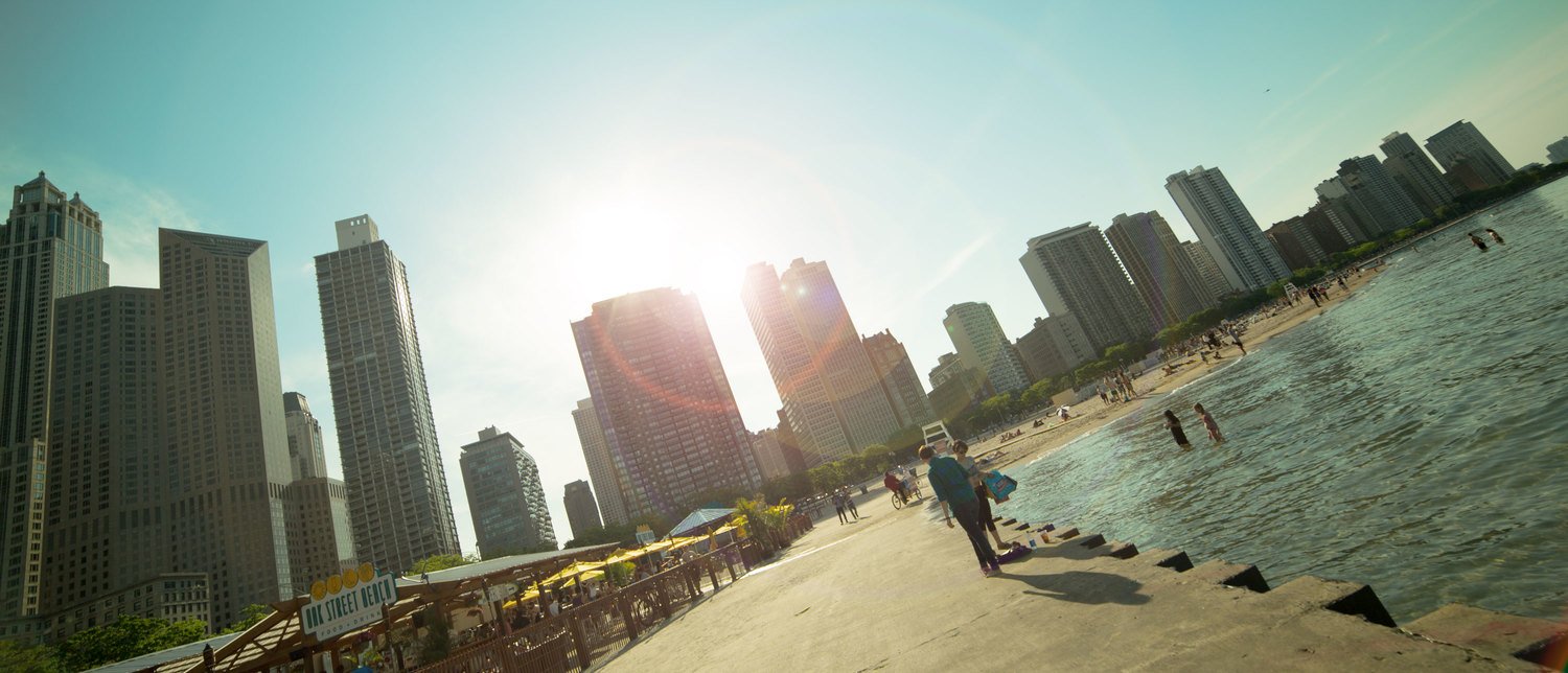 gold coast dog walking service