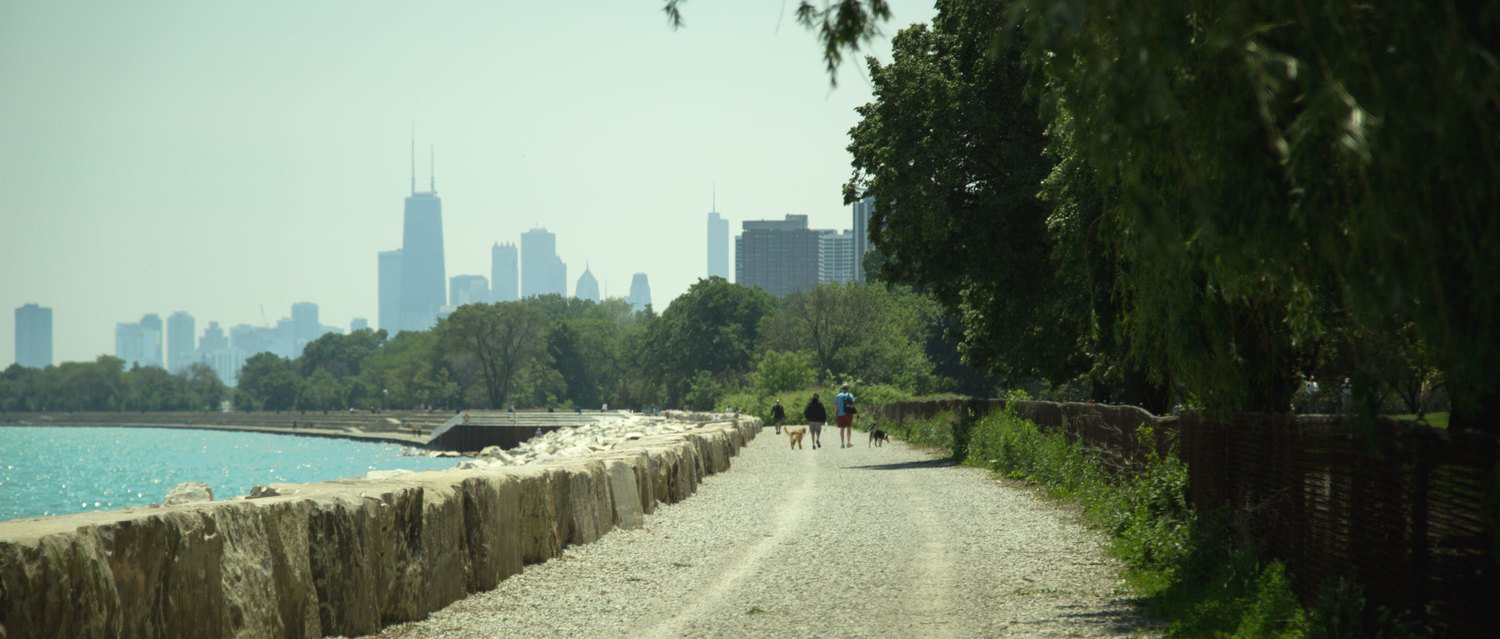 lakeview dog walking service