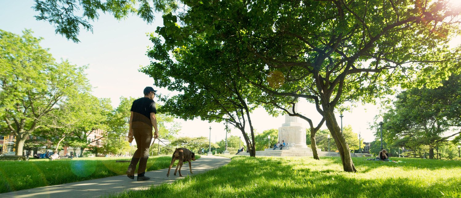 logan square dog walking