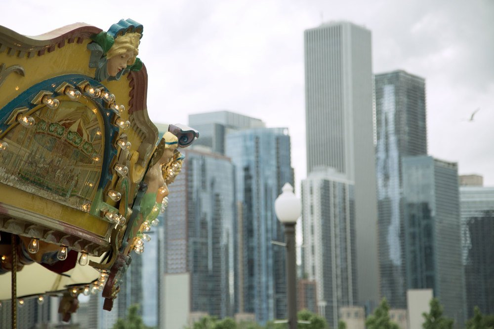 streeterville dog walking service