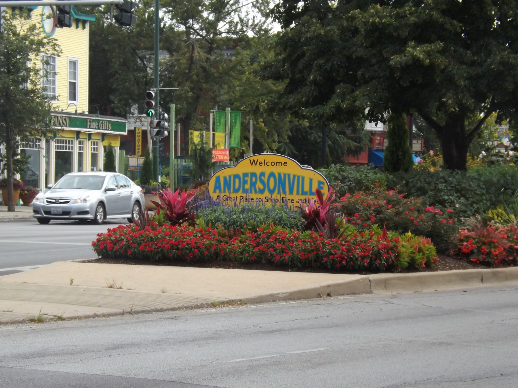andersonville dog walking area