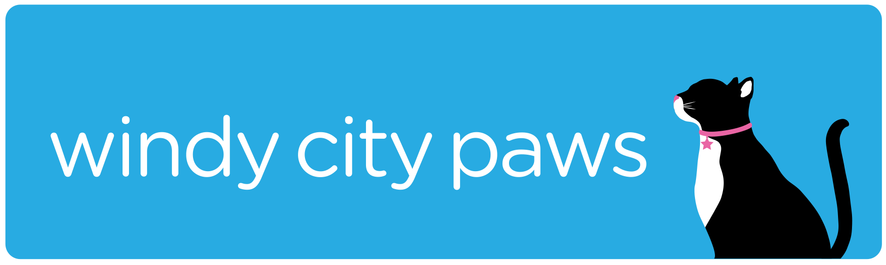 windy city paws cat sitting in chicago
