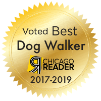 best dog walker chicago
