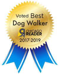 best chicago dog walkers 2017-2019